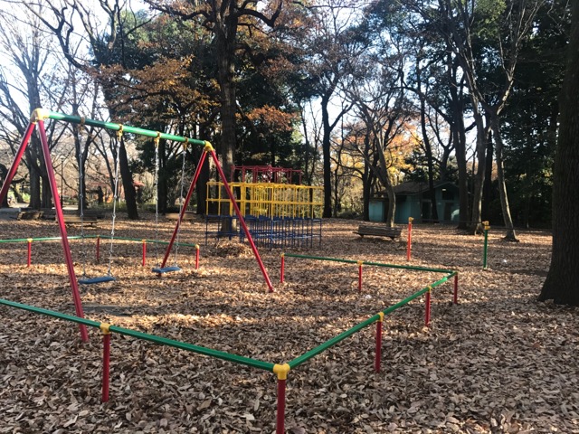 12石神井公園 2017-12-17 22 43 38