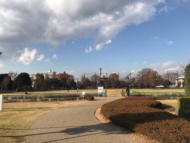 15石神井公園 2017-12-17 22 43 33